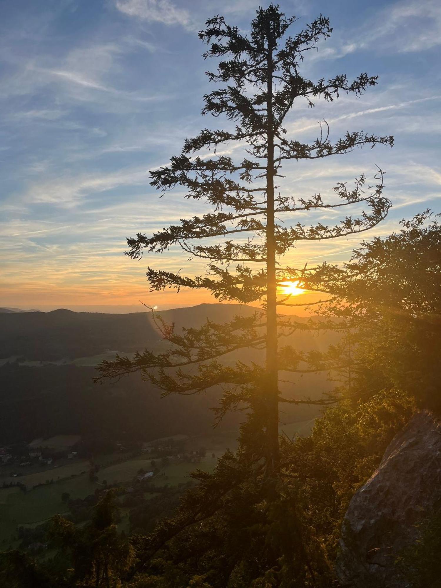 Gite La Morandiere Saint-Martin-en-Vercors Zewnętrze zdjęcie